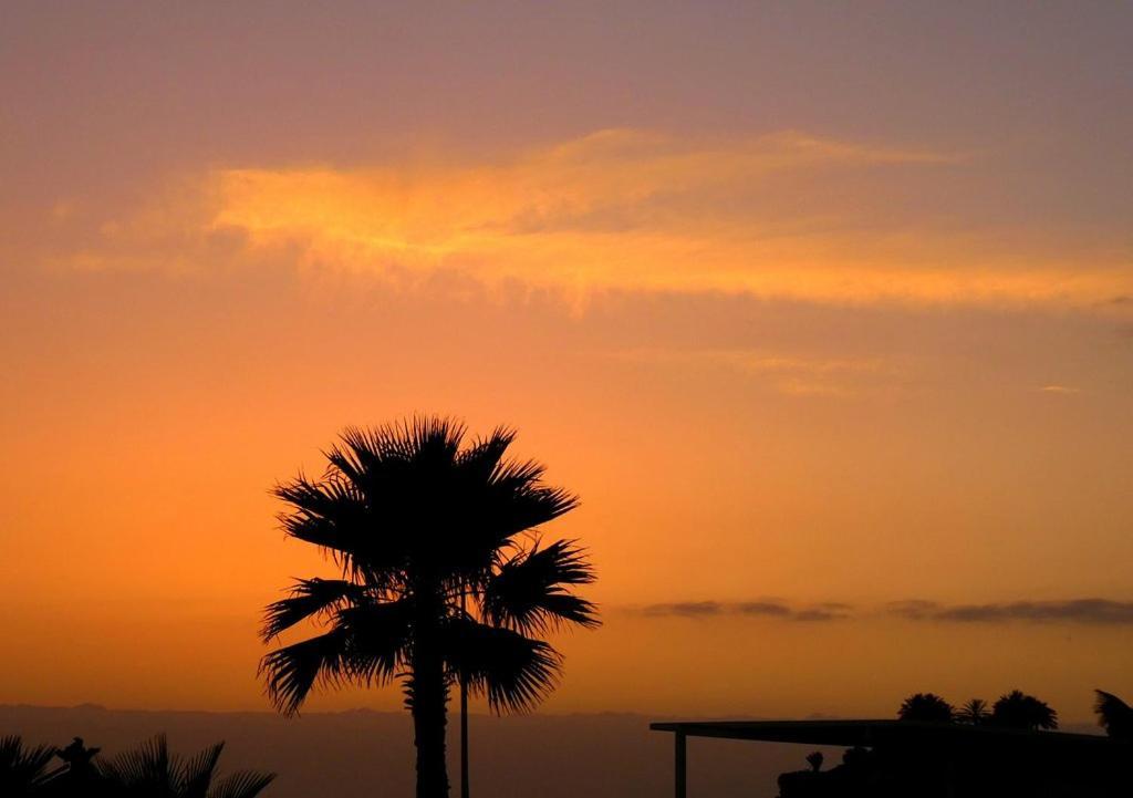 Beach-Front Tenerife Sth Sea And Pool View Daire Costa Del Silencio Dış mekan fotoğraf